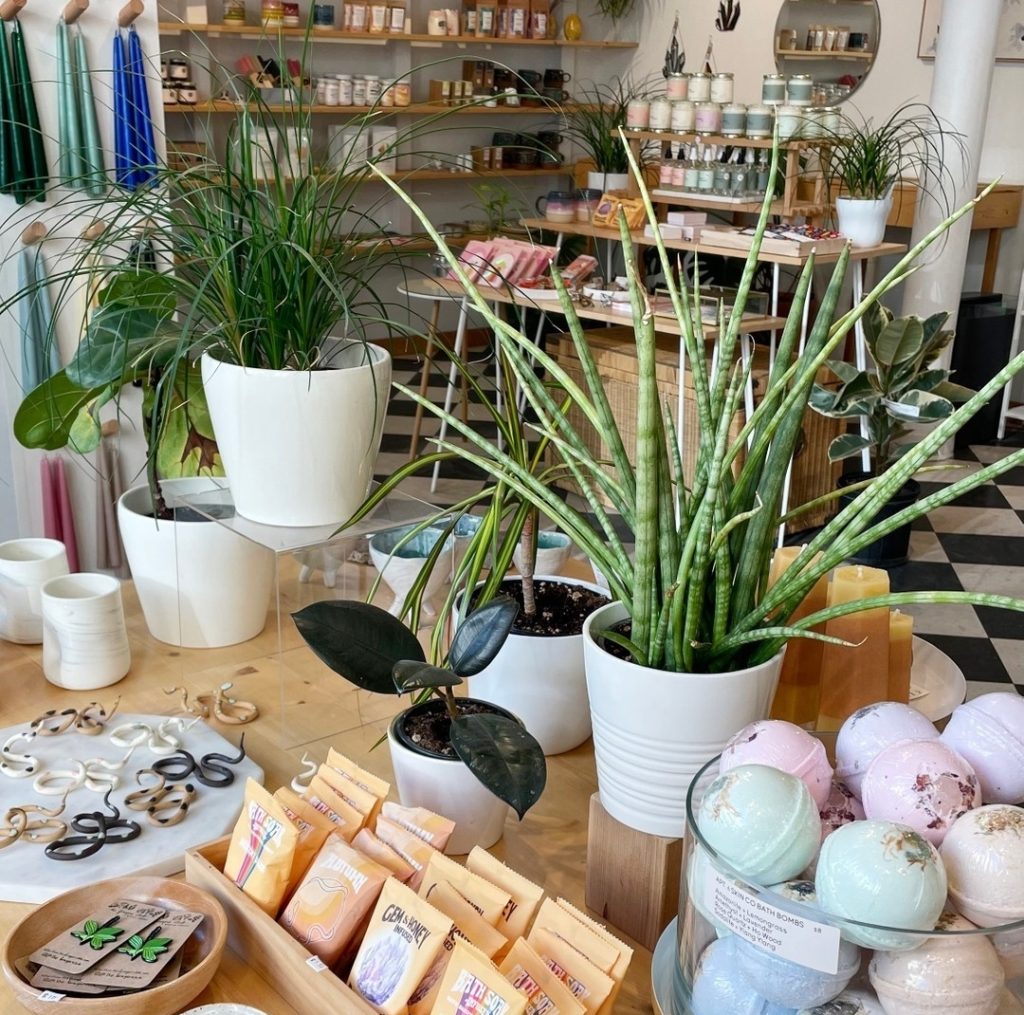 Plants, bath products and accessories in small shop