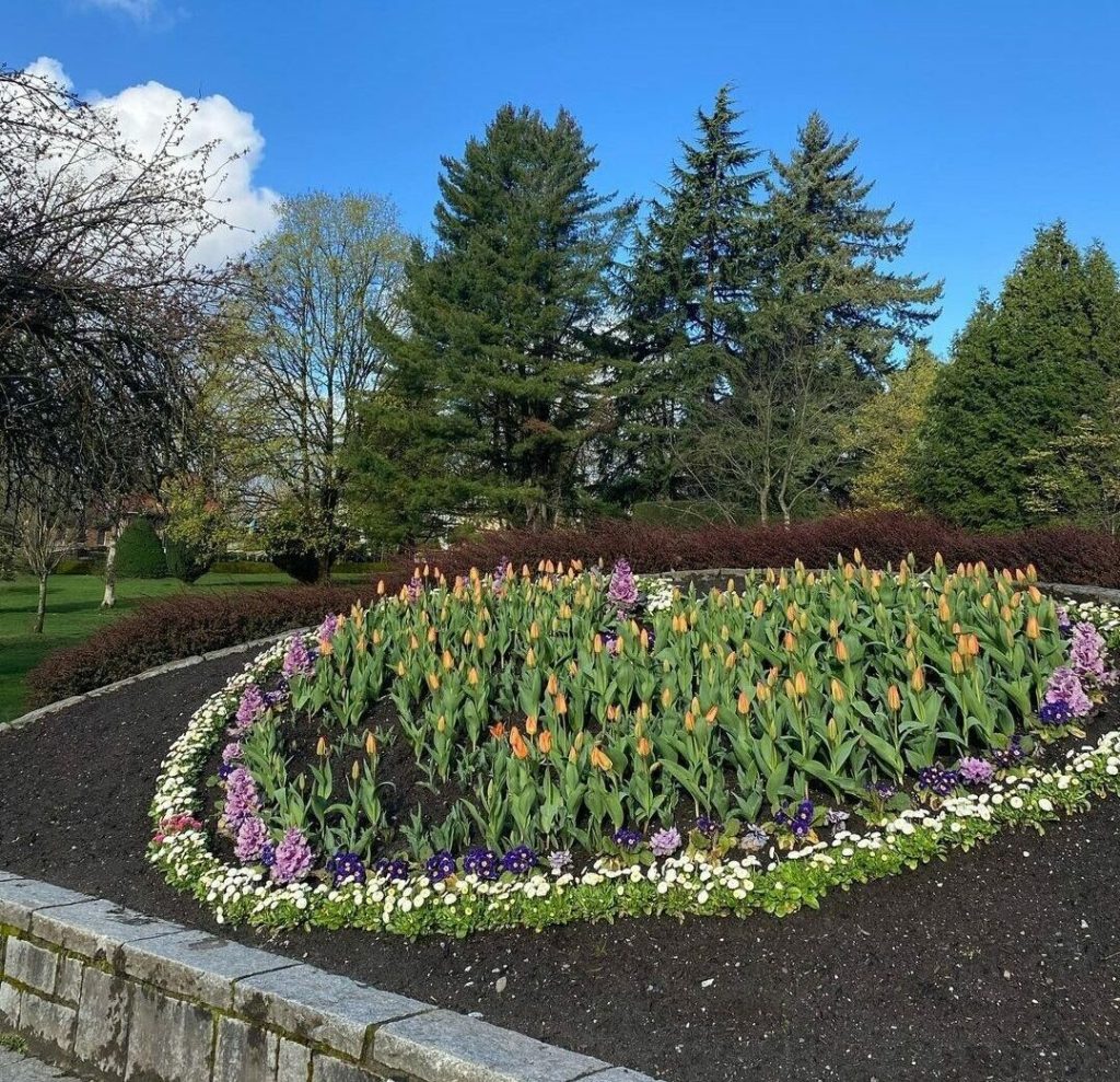 A heart flower arrangement in the park with trees and blue skies