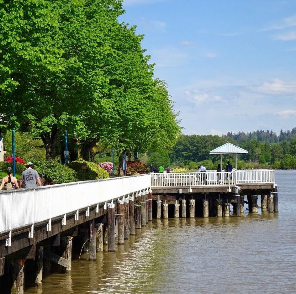 A white railed boardwalk along the muddy Fraser River with people walking along it